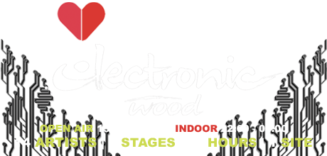 Electronic Wood